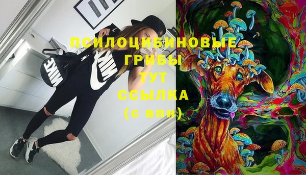 a pvp Алексин