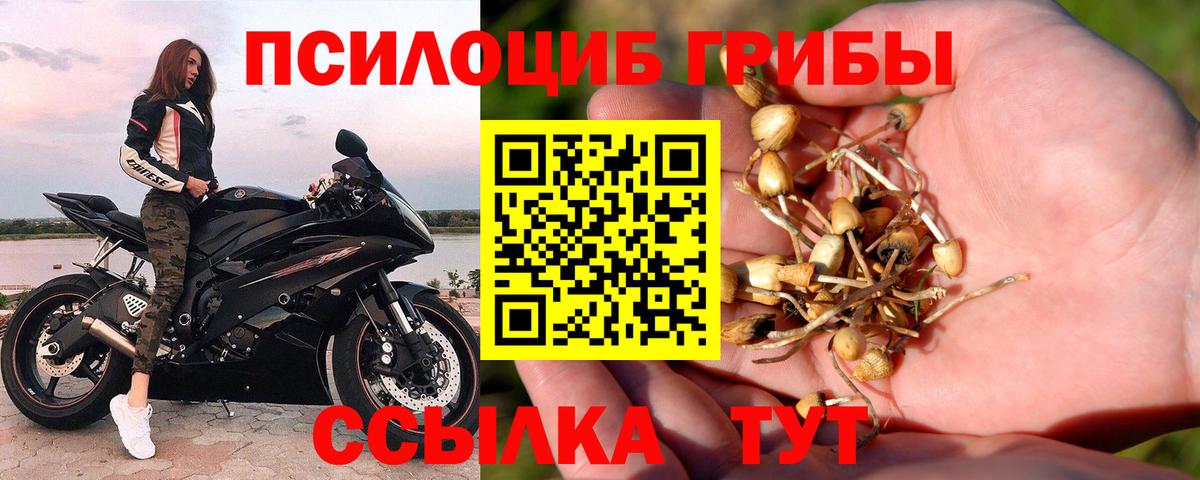 Галлюциногенные грибы Psilocybine cubensis  купить наркотик  Белорецк  Вход с VPN 