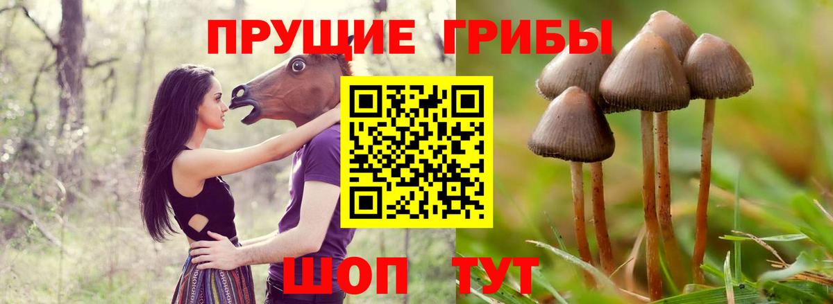Галлюциногенные грибы прущие грибы Белорецк